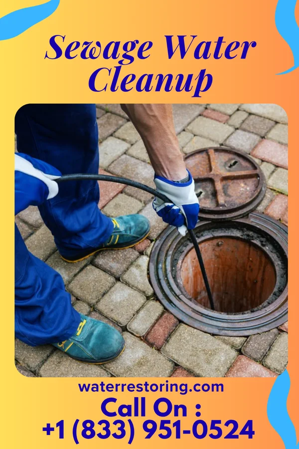 Sewage Water Cleanup in Aitkin, MN